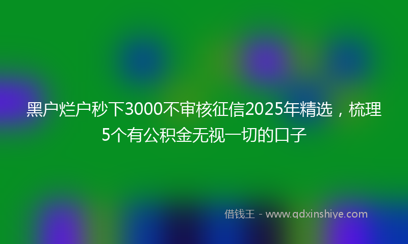 黑户烂户秒下3000不审核征信2025年精选，梳理5个有公积金无视一切的口子