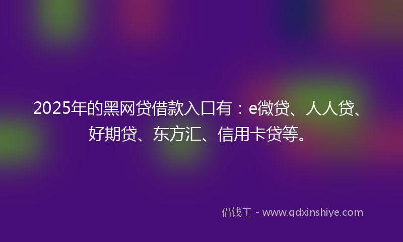 2025年的黑网贷借款入口有：e微贷、人人贷、好期贷、东方汇、信用卡贷等。