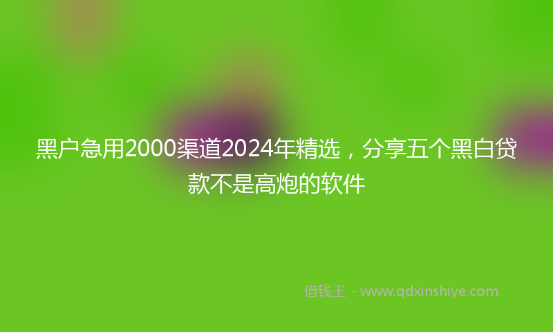 黑户急用2000渠道2024年精选，分享五个黑白贷款不是高炮的软件
