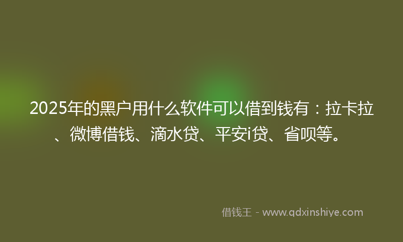 2025年的黑户用什么软件可以借到钱有：拉卡拉、微博借钱、滴水贷、平安i贷、省呗等。
