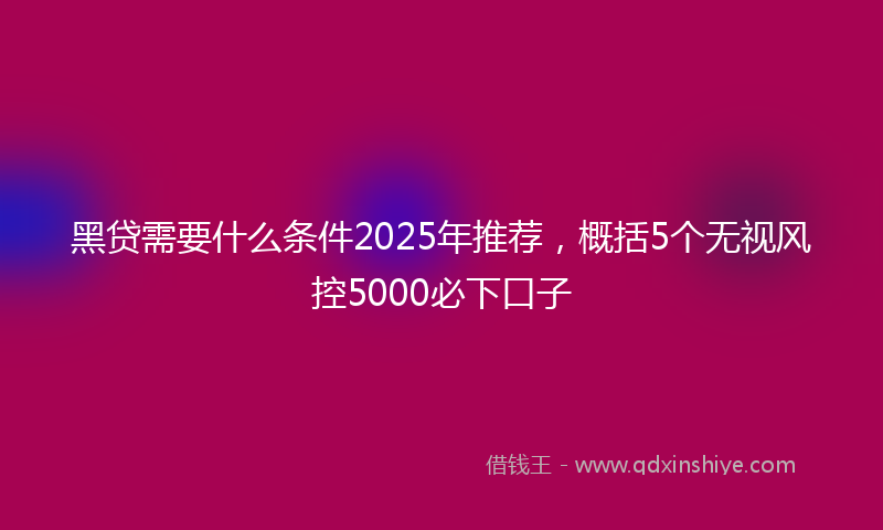 黑贷需要什么条件2025年推荐，概括5个无视风控5000必下口子