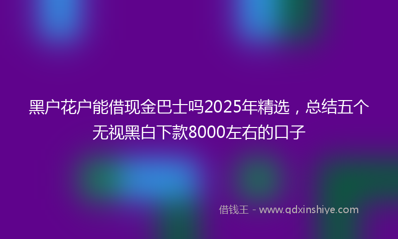 黑户花户能借现金巴士吗2025年精选，总结五个无视黑白下款8000左右的口子