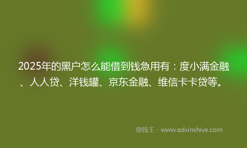 2025年的黑户怎么能借到钱急用有：度小满金融、人人贷、洋钱罐、京东金融、维信卡卡贷等。