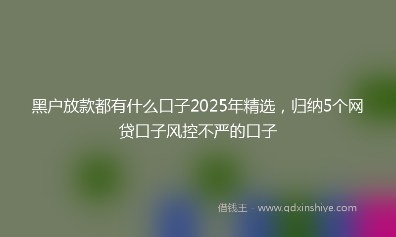 黑户放款都有什么口子2025年精选，归纳5个网贷口子风控不严的口子