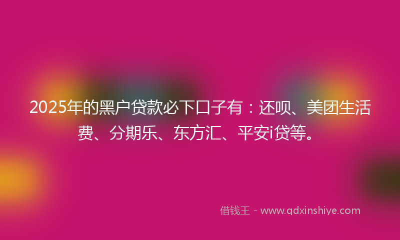 2025年的黑户贷款必下口子有：还呗、美团生活费、分期乐、东方汇、平安i贷等。