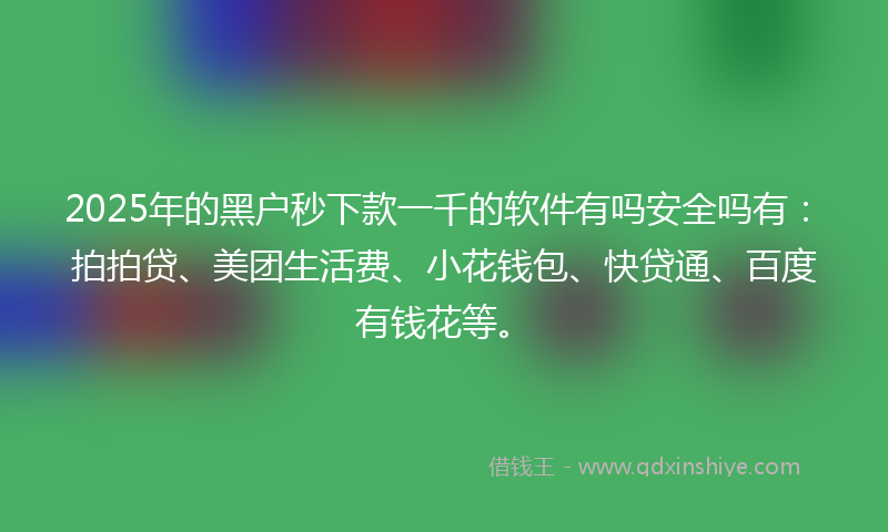 2025年的黑户秒下款一千的软件有吗安全吗有：拍拍贷、美团生活费、小花钱包、快贷通、百度有钱花等。
