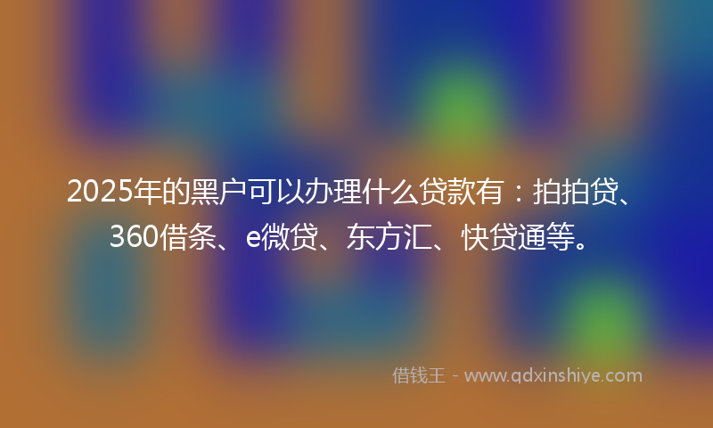 2025年的黑户可以办理什么贷款有：拍拍贷、360借条、e微贷、东方汇、快贷通等。