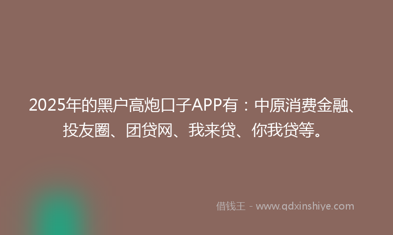 2025年的黑户高炮口子APP有：中原消费金融、投友圈、团贷网、我来贷、你我贷等。