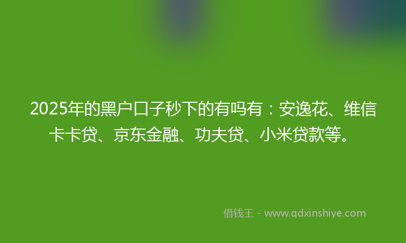 2025年的黑户口子秒下的有吗有：安逸花、维信卡卡贷、京东金融、功夫贷、小米贷款等。