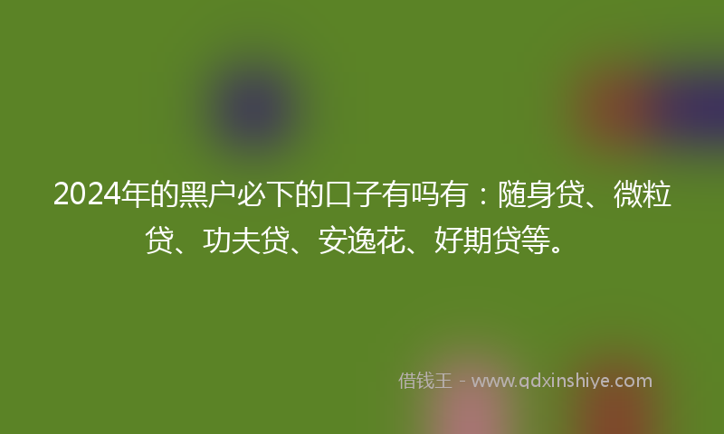 2024年的黑户必下的口子有吗有：随身贷、微粒贷、功夫贷、安逸花、好期贷等。