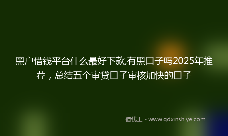 黑户借钱平台什么最好下款,有黑口子吗2025年推荐，总结五个审贷口子审核加快的口子