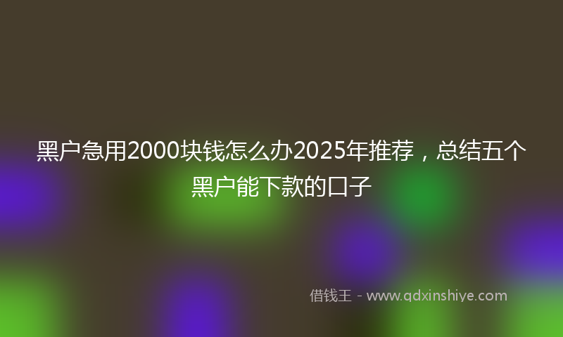 黑户急用2000块钱怎么办2025年推荐，总结五个黑户能下款的口子