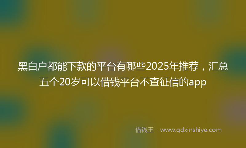 黑白户都能下款的平台有哪些2025年推荐，汇总五个20岁可以借钱平台不查征信的app