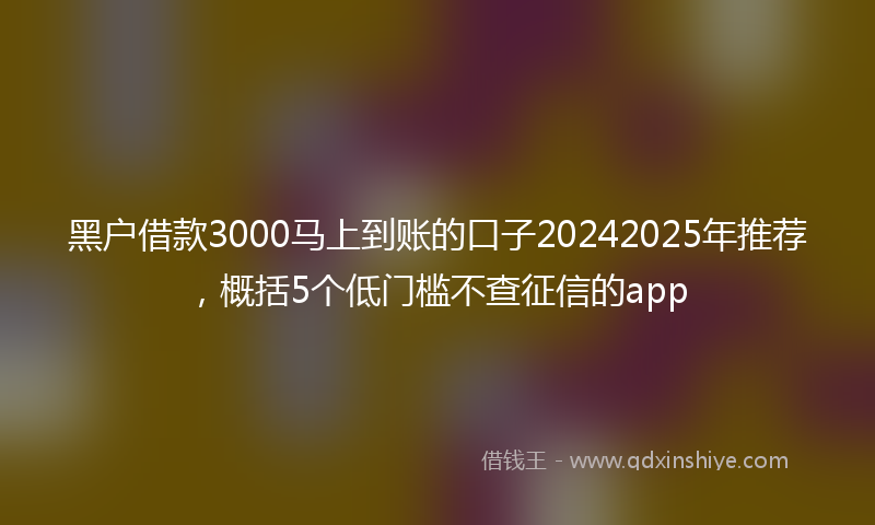 黑户借款3000马上到账的口子20242025年推荐，概括5个低门槛不查征信的app