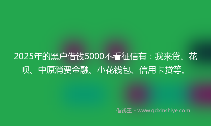 2025年的黑户借钱5000不看征信有：我来贷、花呗、中原消费金融、小花钱包、信用卡贷等。