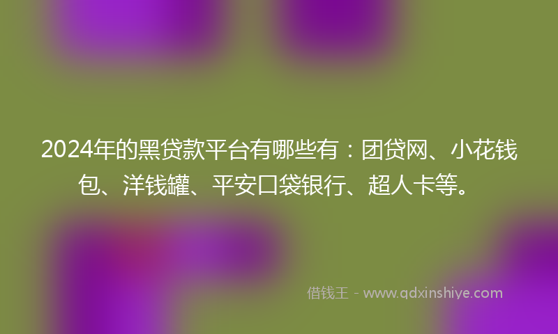 2024年的黑贷款平台有哪些有：团贷网、小花钱包、洋钱罐、平安口袋银行、超人卡等。