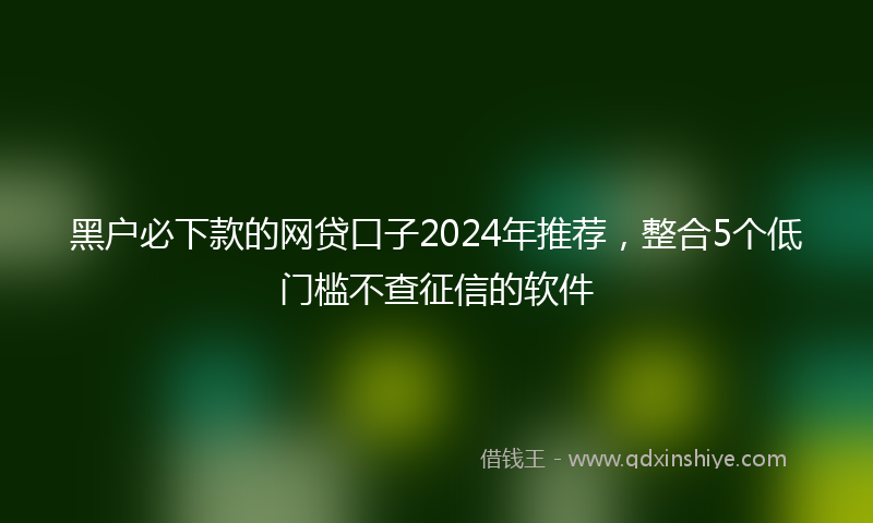 黑户必下款的网贷口子2024年推荐，整合5个低门槛不查征信的软件