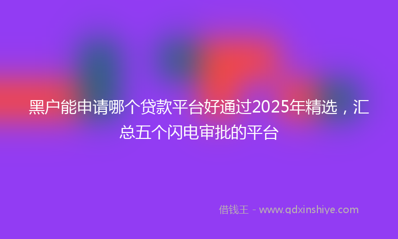 黑户能申请哪个贷款平台好通过2025年精选，汇总五个闪电审批的平台