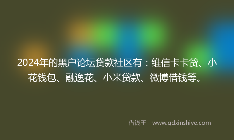 2024年的黑户论坛贷款社区有：维信卡卡贷、小花钱包、融逸花、小米贷款、微博借钱等。