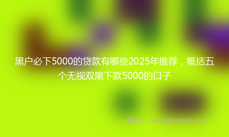 黑户必下5000的贷款有哪些2025年推荐，概括五个无视双黑下款5000的口子