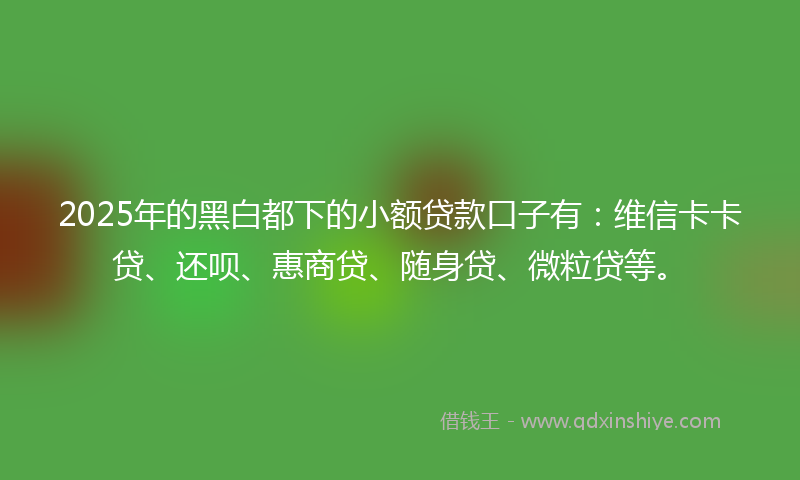 2025年的黑白都下的小额贷款口子有：维信卡卡贷、还呗、惠商贷、随身贷、微粒贷等。