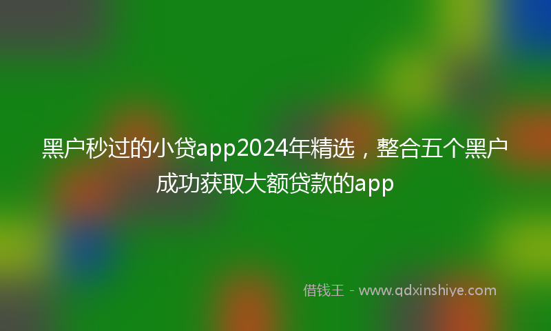 黑户秒过的小贷app2024年精选，整合五个黑户成功获取大额贷款的app