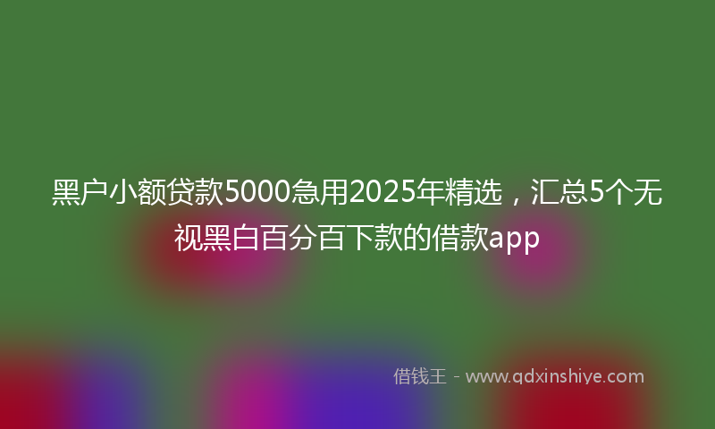 黑户小额贷款5000急用2025年精选，汇总5个无视黑白百分百下款的借款app