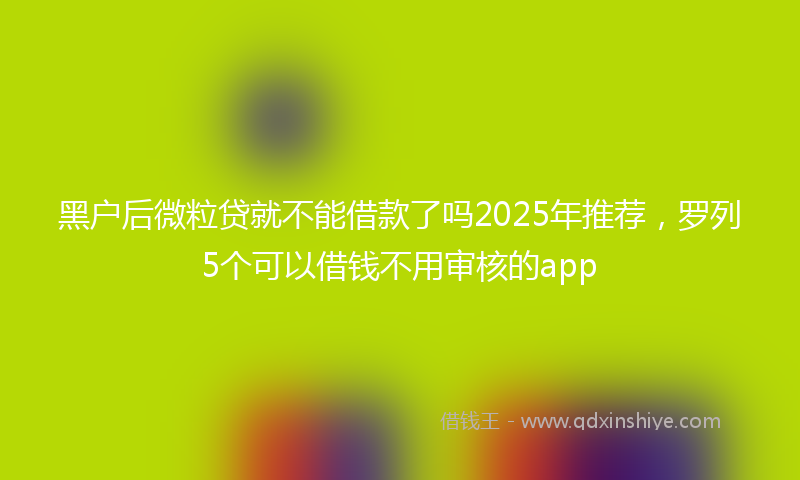 黑户后微粒贷就不能借款了吗2025年推荐，罗列5个可以借钱不用审核的app