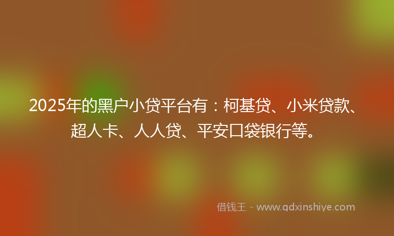 2025年的黑户小贷平台有：柯基贷、小米贷款、超人卡、人人贷、平安口袋银行等。