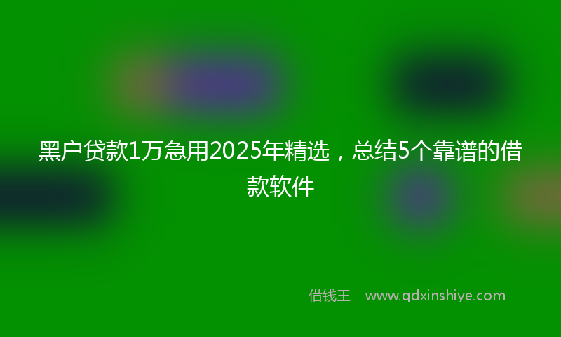 黑户贷款1万急用2025年精选，总结5个靠谱的借款软件
