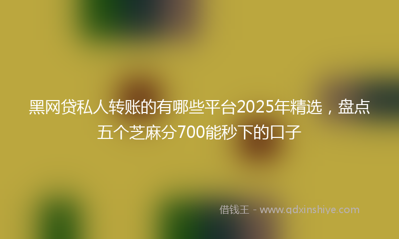 黑网贷私人转账的有哪些平台2025年精选，盘点五个芝麻分700能秒下的口子