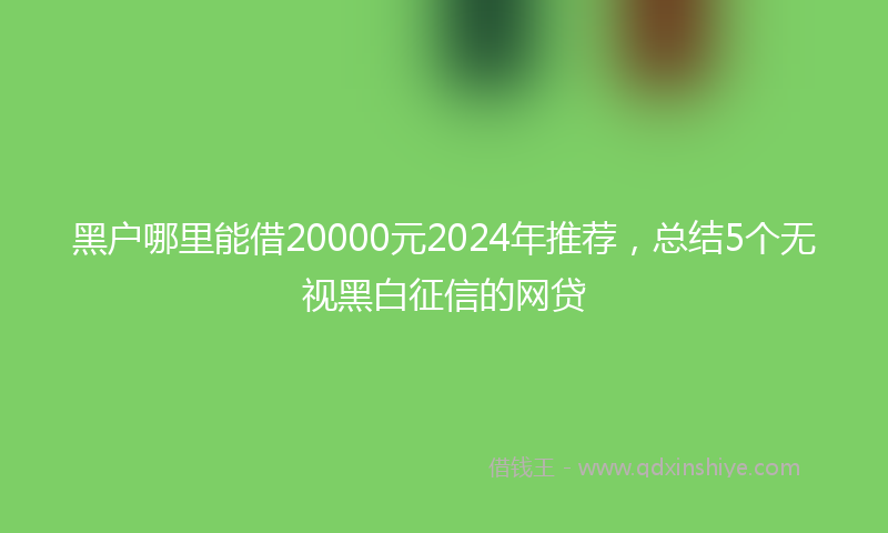 黑户哪里能借20000元2024年推荐，总结5个无视黑白征信的网贷