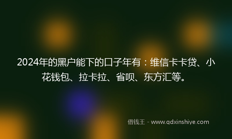 2024年的黑户能下的口子年有：维信卡卡贷、小花钱包、拉卡拉、省呗、东方汇等。