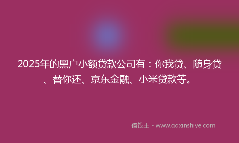 2025年的黑户小额贷款公司有：你我贷、随身贷、替你还、京东金融、小米贷款等。