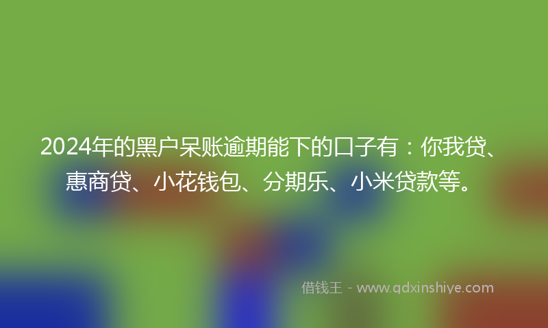 2024年的黑户呆账逾期能下的口子有：你我贷、惠商贷、小花钱包、分期乐、小米贷款等。