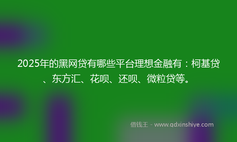 2025年的黑网贷有哪些平台理想金融有：柯基贷、东方汇、花呗、还呗、微粒贷等。