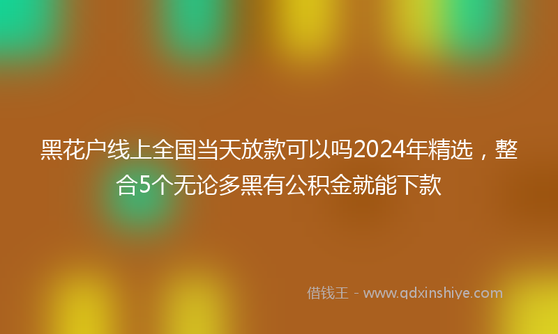 黑花户线上全国当天放款可以吗2024年精选，整合5个无论多黑有公积金就能下款