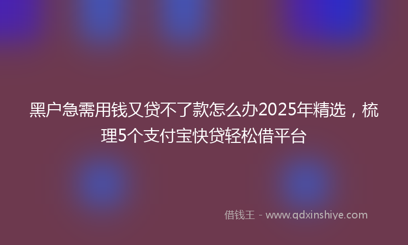 黑户急需用钱又贷不了款怎么办2025年精选，梳理5个支付宝快贷轻松借平台