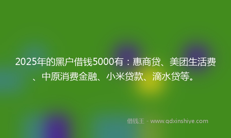2025年的黑户借钱5000有：惠商贷、美团生活费、中原消费金融、小米贷款、滴水贷等。