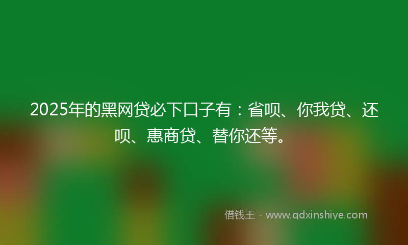 2025年的黑网贷必下口子有：省呗、你我贷、还呗、惠商贷、替你还等。