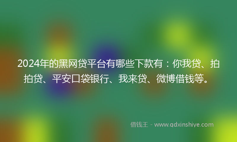 2024年的黑网贷平台有哪些下款有：你我贷、拍拍贷、平安口袋银行、我来贷、微博借钱等。