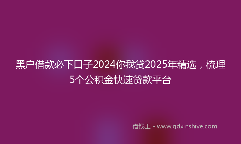 黑户借款必下口子2024你我贷2025年精选，梳理5个公积金快速贷款平台