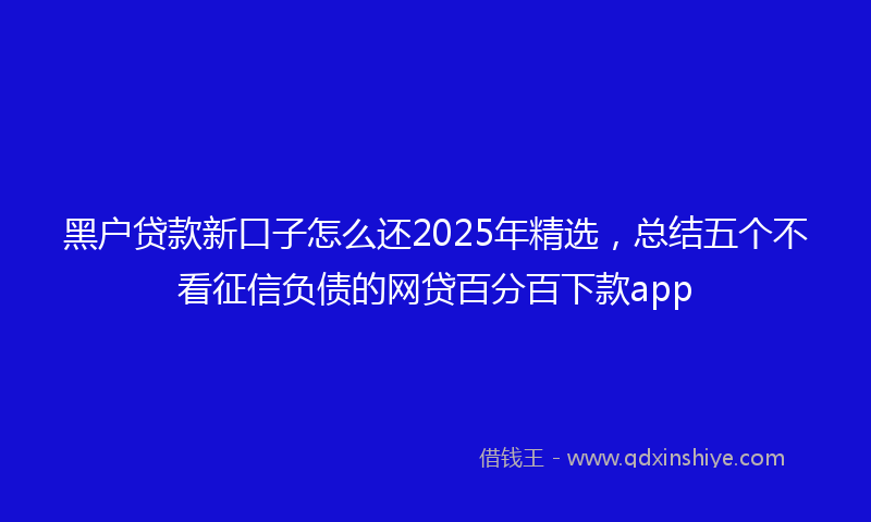黑户贷款新口子怎么还2025年精选，总结五个不看征信负债的网贷百分百下款app