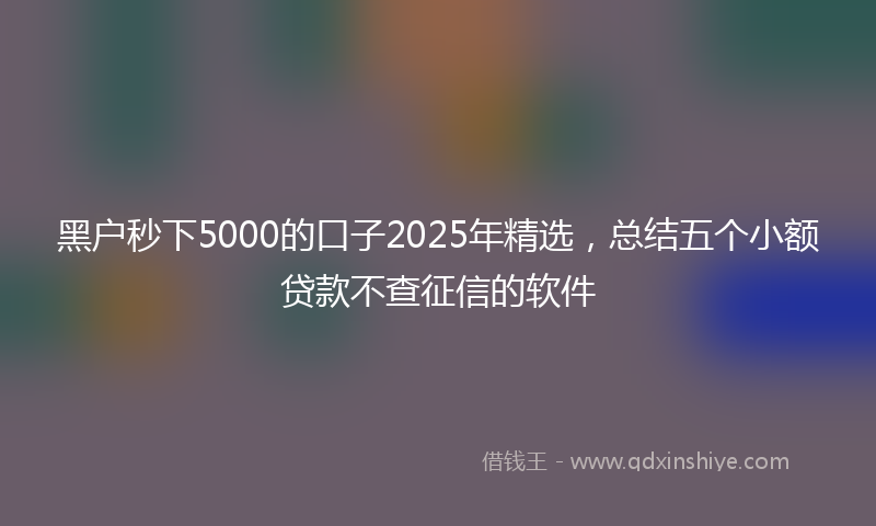 黑户秒下5000的口子2025年精选，总结五个小额贷款不查征信的软件