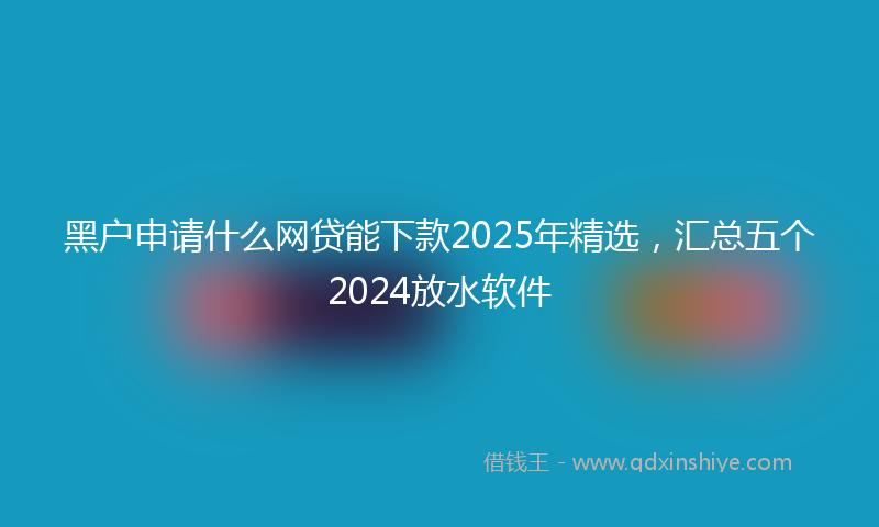 黑户申请什么网贷能下款2025年精选，汇总五个2024放水软件