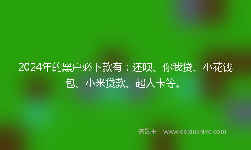 2024年的黑户必下款有：还呗、你我贷、小花钱包、小米贷款、超人卡等。