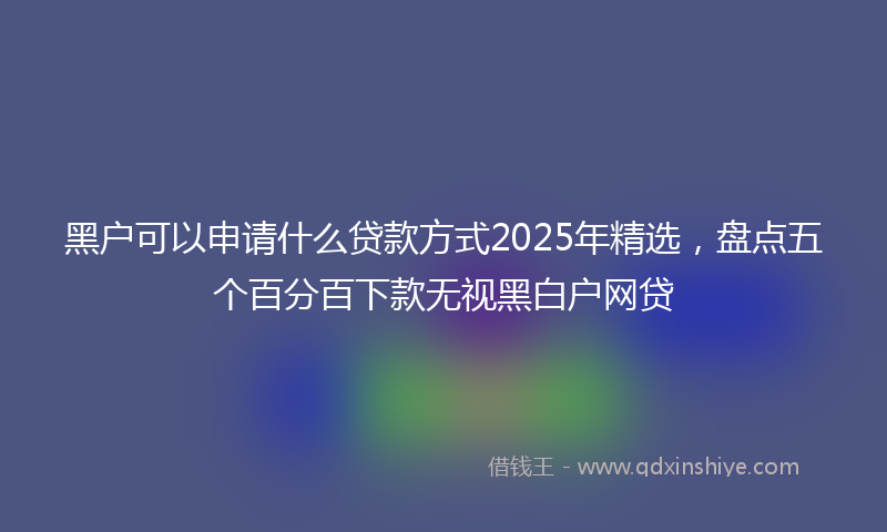 黑户可以申请什么贷款方式2025年精选，盘点五个百分百下款无视黑白户网贷