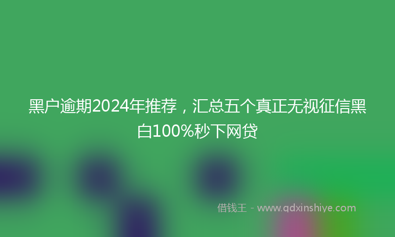 黑户逾期2024年推荐，汇总五个真正无视征信黑白100%秒下网贷