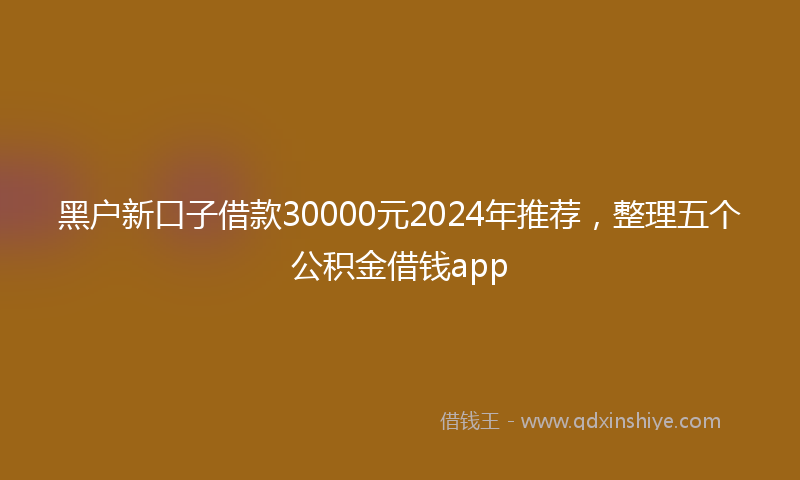 黑户新口子借款30000元2024年推荐，整理五个公积金借钱app