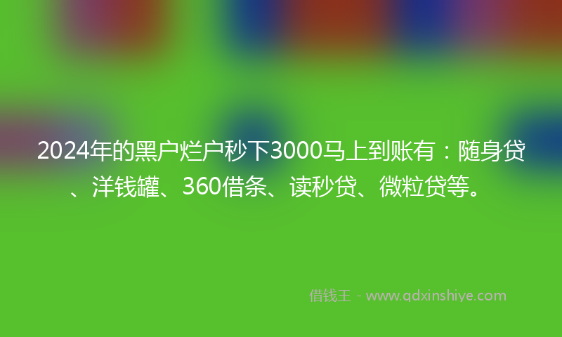 2024年的黑户烂户秒下3000马上到账有：随身贷、洋钱罐、360借条、读秒贷、微粒贷等。